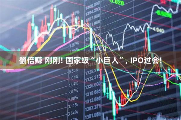 翻倍赚 刚刚! 国家级“小巨人”, IPO过会!