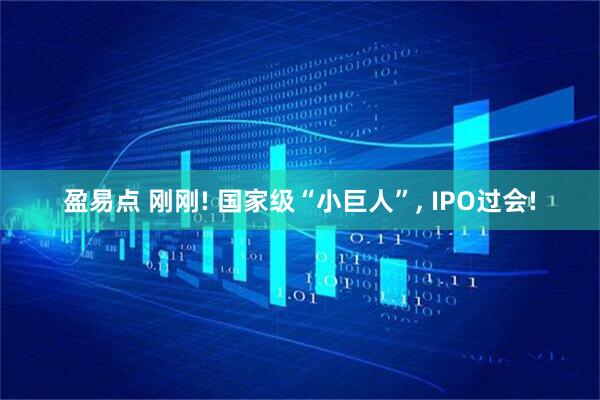 盈易点 刚刚! 国家级“小巨人”, IPO过会!