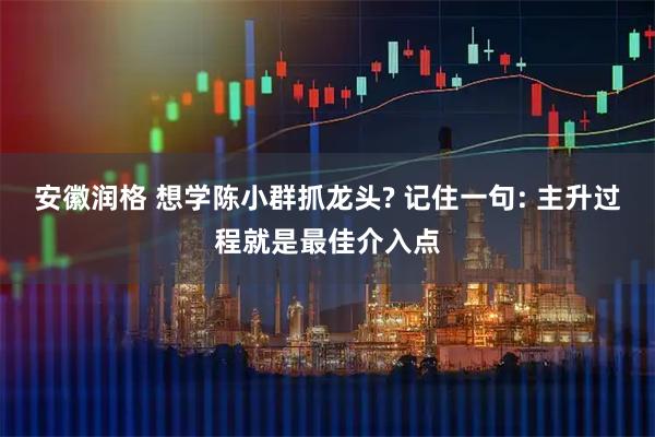 安徽润格 想学陈小群抓龙头? 记住一句: 主升过程就是最佳介入点
